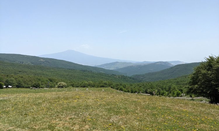 forest bathing sicilia nebrodi