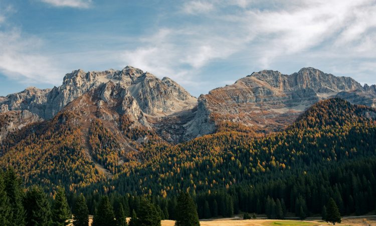 Forest Bathing Trentino